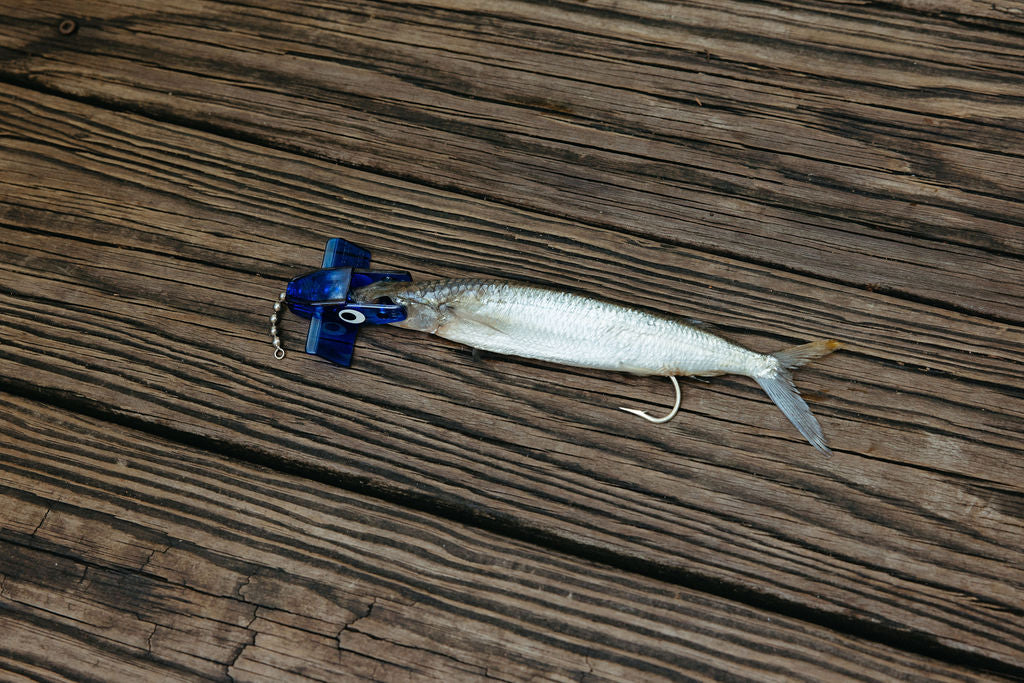 Surface Runner Quick Rigging Bait System