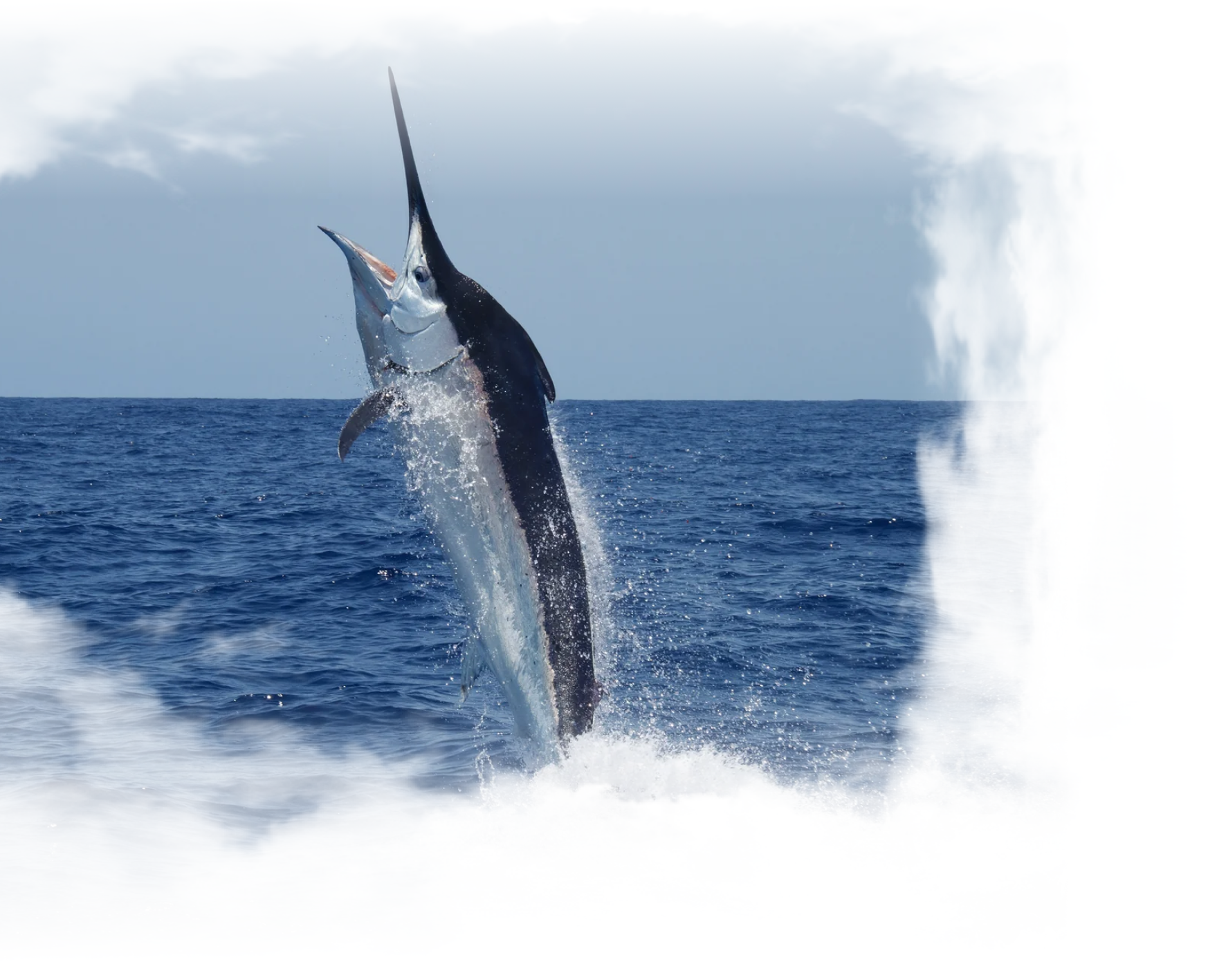 Why Head Start Lures